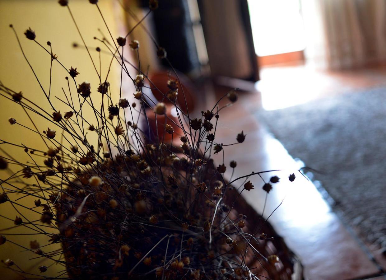 La Casita De Leire Guest House Tamajon ภายนอก รูปภาพ