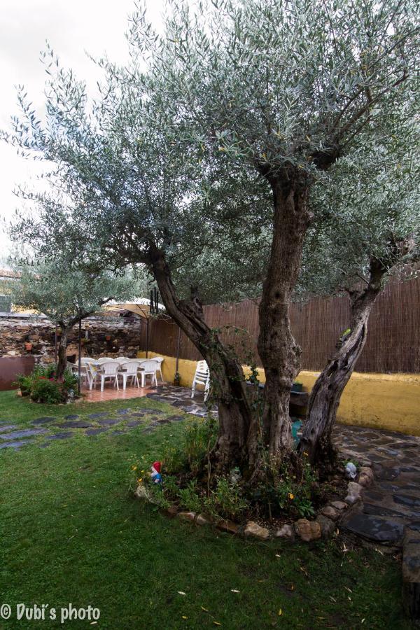 La Casita De Leire Guest House Tamajon ภายนอก รูปภาพ