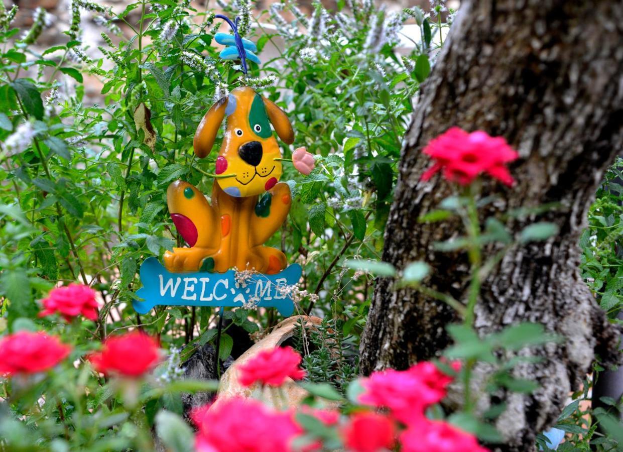 La Casita De Leire Guest House Tamajon ภายนอก รูปภาพ