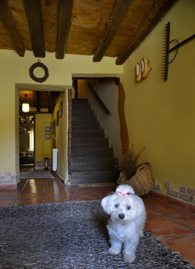 La Casita De Leire Guest House Tamajon ภายนอก รูปภาพ