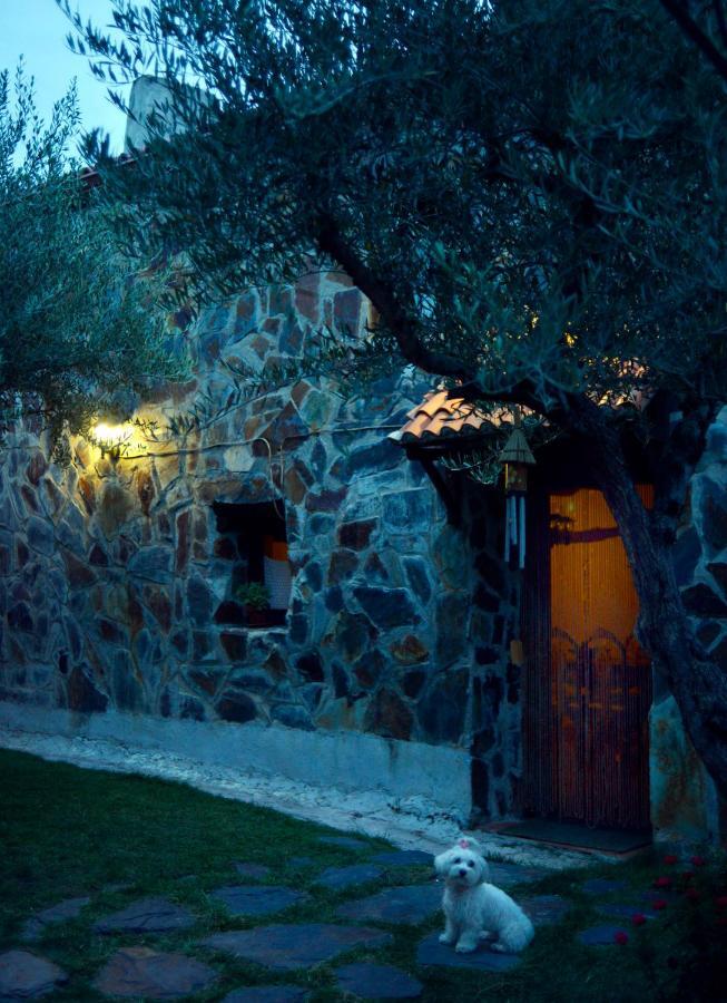 La Casita De Leire Guest House Tamajon ภายนอก รูปภาพ